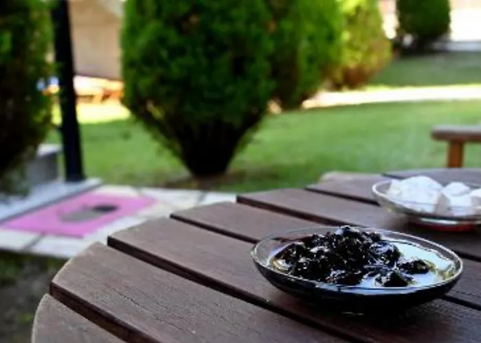 Aparthotel Santa Emelia 4*